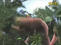 《怪物猎人OL》<em>妹</em>腔的狞猎<em>生活CG</em>_视频专辑