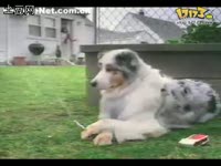 无人能敌的机械舞 来自日本的皇帝心仙人_171