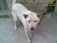 美女教你注册LOL美服帐号_17173游戏播客_1