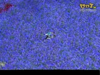 我和<em>师妹</em>的故事_17173游戏视频