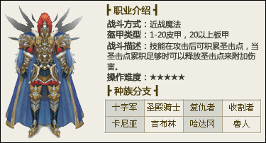 巫师之怒圣骑士系职业专栏