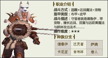 巫师之怒守望系职业专栏