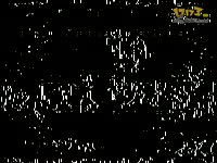 海盗小王子--葫芦娃彡狼藉之力作《极限海盗-4