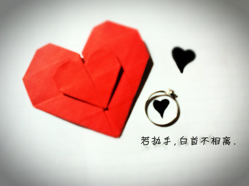 若执子之手,愿白首不相离