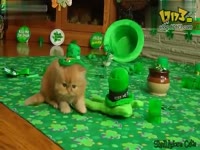 【独家】参观华晨宇的卧室全是粉丝送的公仔礼