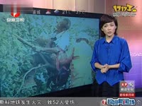 江苏<em>16岁少女长期强奸</em>八旬老头 老头终因体力