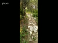 QQ飞车卡车视频2013 永久沙暴-游戏视频 热门