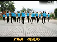 迪斯科广场舞 绿旋风 32步 莱州舞动青春舞蹈队