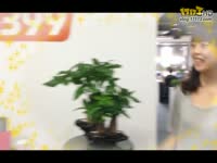 仙剑奇侠传剧情配音版08-叶剑航图片
