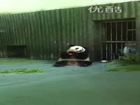 热播内容 【<em>甜妞手工编织屋</em>】<em>熊猫马甲</em>的织法