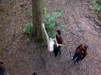 星月情缘 安东阳_17173游戏视频