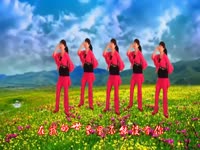 免费视频 32号嫁给你 子青广场舞-子青广场舞_