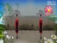 水岸花城广场舞 <em>DJ</em>还是算了吧(编舞新月舞蝶)