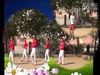 片段 威县贺钊乡东郑河西郑河舞蹈队-花蝴蝶-舞