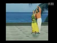 热门专辑 广场舞好听的流行歌曲《玫瑰送给有