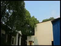 精彩片段 朋友生日手持电光花 烟花棒烟火棒冷