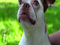 暗拍东莞足浴城特殊服务 主管领导全免单_171