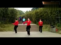逯庄舞蹈队今夜舞起来变队形-逯庄舞蹈队 短片