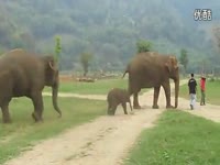 【神龙姬】青春活泼装2月24首发【超清晰】_