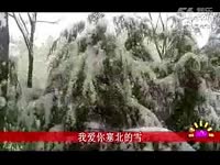 魔怔雪-我爱你-我爱你 精彩片段_17173游戏视