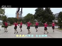 叶子广场舞 又见山里红(附背面分解)(清晰)-又见