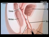 最刺激的高潮, 颅内高潮!_17173游戏视频