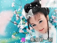 高清合集 梅花泪-歌曲翻唱_17173游戏视频