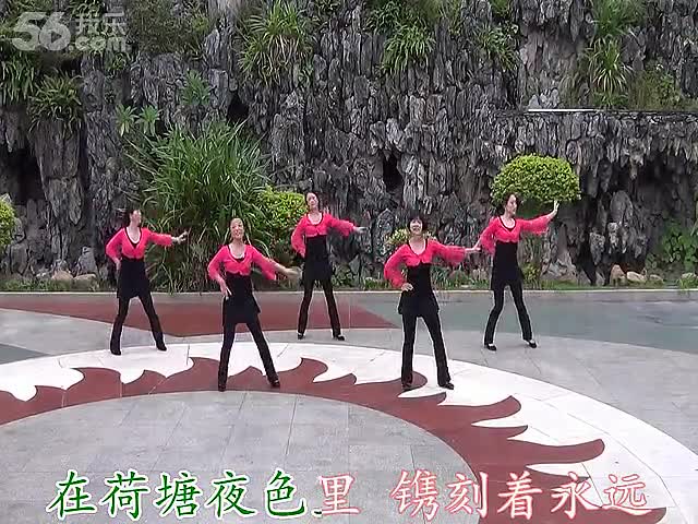 <em>动动广场舞</em> 深圳天仙<em>姐妹</em>广场舞-路边的野花不