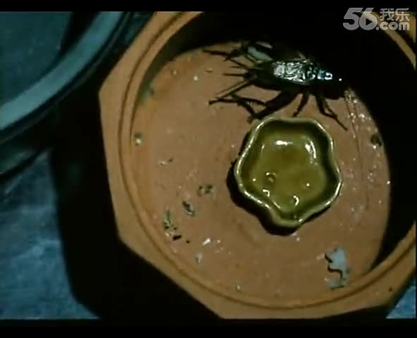 妖魔道-神仙学堂A 林正英电影 香港鬼片-免费在