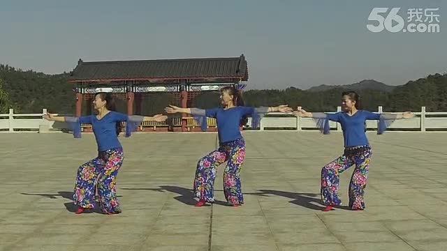 大余韵梅<em>广场舞</em>傣族<em>舞阿妹</em>是<em>月亮</em>附背面-免费