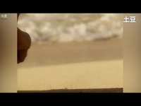 回味经典 1999年比基尼<em>美女</em>精品<em>人梯</em>彩绘作品