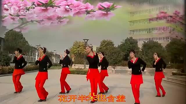 广场舞 紫烟:火苗 简单易学的 舞蹈教学视频 视