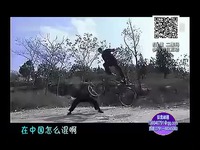 奇葩国产剧 家庭幽默录像 高清-高清 最热_171