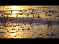 八五九农场风-光我的家园-幸福之旅 特辑_171