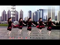 精彩花絮 <em>妹妹的情歌 惠汝广场舞</em>(正反附带口令