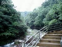 最热视频 西双版纳哆哩广场舞 草原一枝花 正面