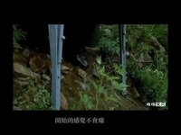 【吴秀波之司徒灰】杀手 by维维宝贝-吴秀波 最