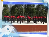 崇阳县高枧乡高枧街广场舞 军中绿花-军中绿花