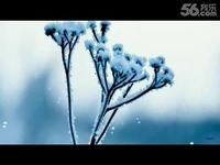 钢琴曲: 雪之梦 Bandari-音乐 超清视频_17173