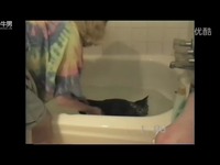 经典 <em>妹纸</em>给喵星人<em>洗澡</em>不慎跌入浴缸-<em>游戏</em>视频