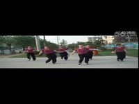 2014最新紫蝶广场舞歌在飞 广场舞蹈视频大全