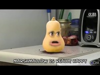 热点直击 烦人的橙子版搞笑视频 《江南style