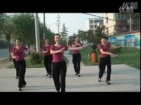 视频片段 凤凰六哥<em>广场舞</em>《<em>妹妹</em>的<em>情歌</em>》含背