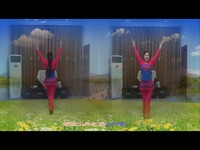 精彩短片 梅州心悦<em>广场舞</em>妺妹<em>的山丹花</em>-梅州_