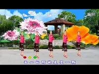 热门花絮 兰玉广场舞<em>情歌飞进妹心窝</em>-<em>杨艺</em>广场