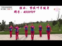 推荐视频 重庆叶子广场舞DJ偷偷做情人(原创)