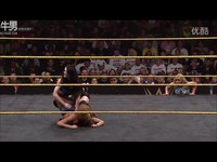 <em>WWE</em>20140313:佩奇 vs 莎夏·班克斯-游戏视