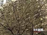高清花絮 [交大新闻]西南交通大学九里校区校园