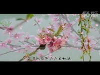 三月桃花雨 童丽(超清)_高清-歌曲 高清_17173