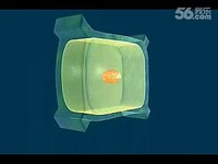 关于初中生物课,可更精彩的学年毕业论文范文